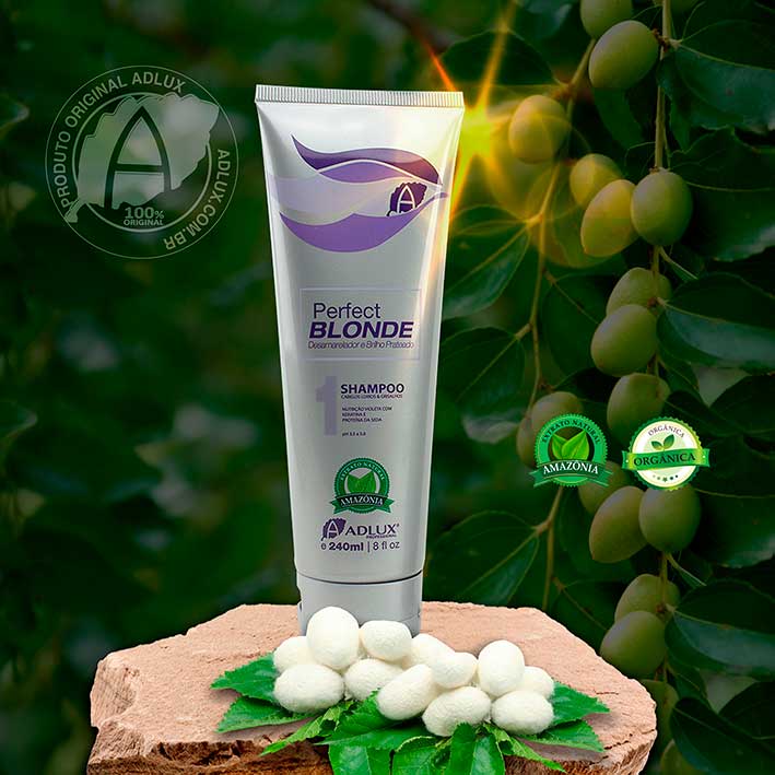 Perfect Blonde Shampoo Manutenção - 240g